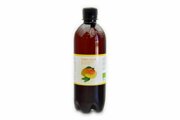 Kombucha YERBA MATÉ - MANGO BIO - Stevikom 500ml